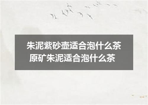 朱泥紫砂壶适合泡什么茶 原矿朱泥适合泡什么茶