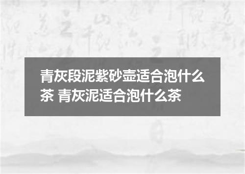 青灰段泥紫砂壶适合泡什么茶 青灰泥适合泡什么茶