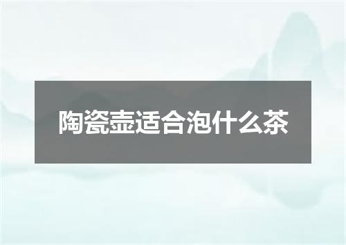 陶瓷壶适合泡什么茶