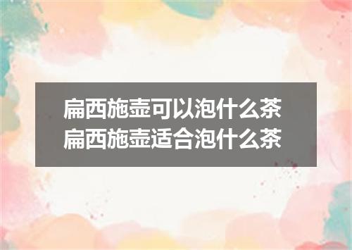 扁西施壶可以泡什么茶 扁西施壶适合泡什么茶
