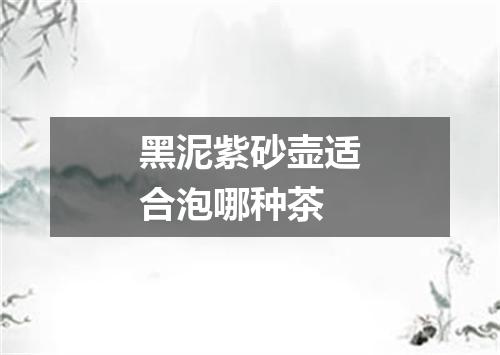 黑泥紫砂壶适合泡哪种茶