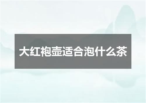 大红袍壶适合泡什么茶
