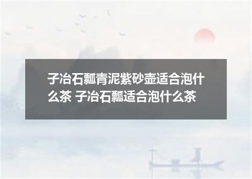 子冶石瓢青泥紫砂壶适合泡什么茶 子冶石瓢适合泡什么茶