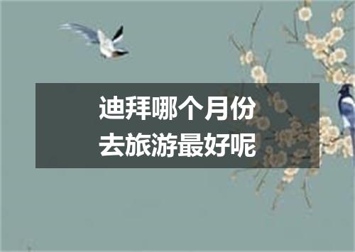 迪拜哪个月份去旅游最好呢