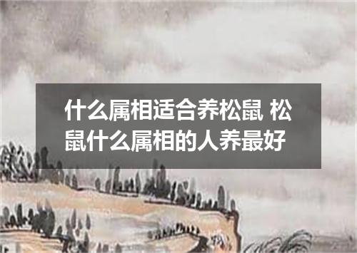 什么属相适合养松鼠 松鼠什么属相的人养最好