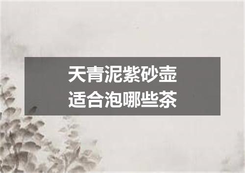 天青泥紫砂壶适合泡哪些茶