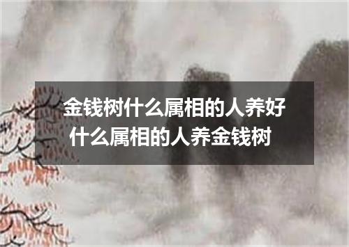 金钱树什么属相的人养好 什么属相的人养金钱树