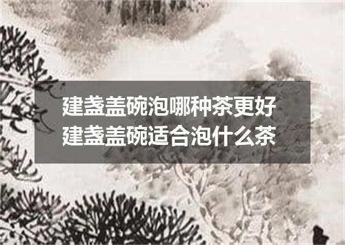 建盏盖碗泡哪种茶更好 建盏盖碗适合泡什么茶