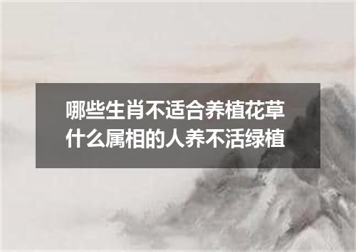 哪些生肖不适合养植花草 什么属相的人养不活绿植