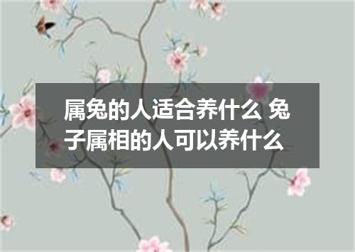 属兔的人适合养什么 兔子属相的人可以养什么