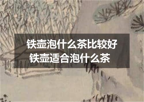 铁壶泡什么茶比较好 铁壶适合泡什么茶