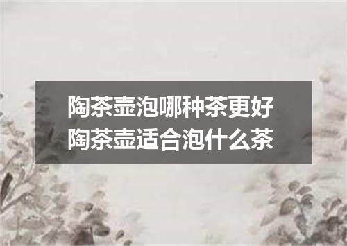 陶茶壶泡哪种茶更好 陶茶壶适合泡什么茶