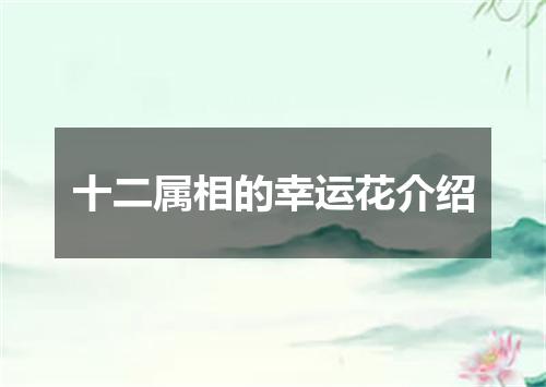 十二属相的幸运花介绍