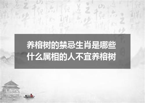 养榕树的禁忌生肖是哪些 什么属相的人不宜养榕树