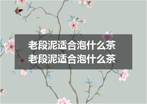 老段泥适合泡什么茶 老段泥适合泡什么茶