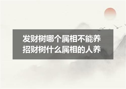 发财树哪个属相不能养 招财树什么属相的人养