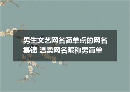 男生文艺网名简单点的网名集锦 温柔网名昵称男简单