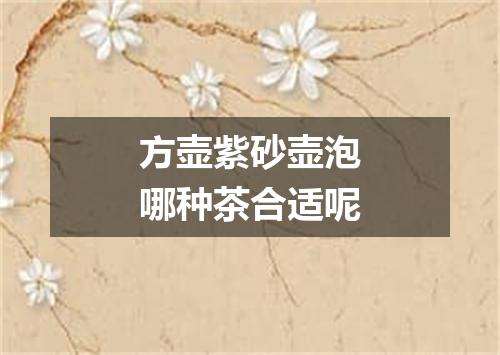 方壶紫砂壶泡哪种茶合适呢