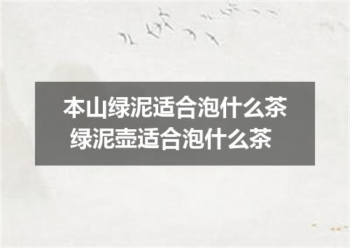 本山绿泥适合泡什么茶 绿泥壶适合泡什么茶