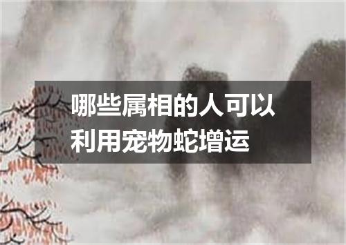 哪些属相的人可以利用宠物蛇增运