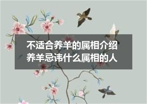 不适合养羊的属相介绍 养羊忌讳什么属相的人