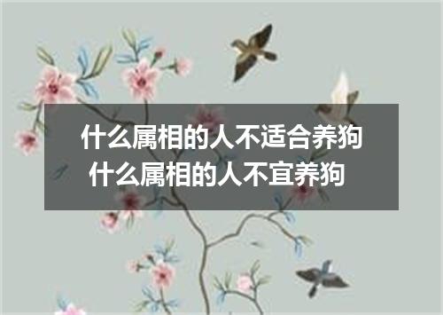 什么属相的人不适合养狗 什么属相的人不宜养狗