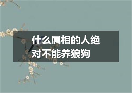 什么属相的人绝对不能养狼狗