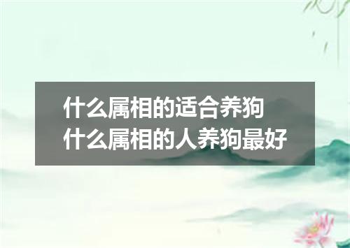 什么属相的适合养狗 什么属相的人养狗最好