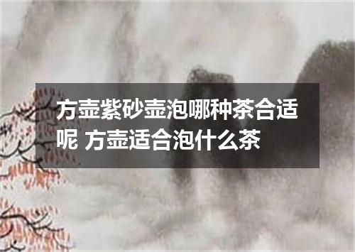 方壶紫砂壶泡哪种茶合适呢 方壶适合泡什么茶