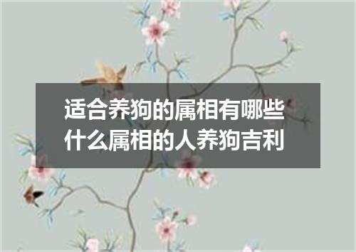 适合养狗的属相有哪些 什么属相的人养狗吉利