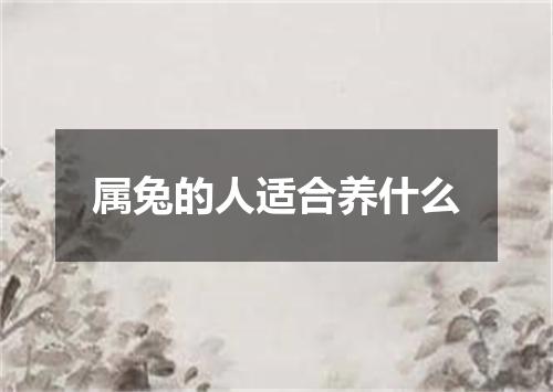 属兔的人适合养什么