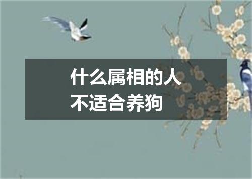 什么属相的人不适合养狗