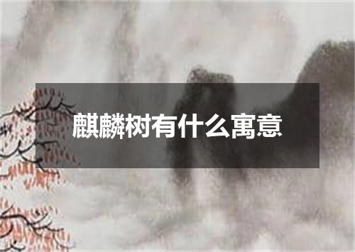 麒麟树有什么寓意