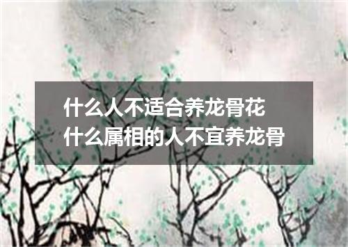 什么人不适合养龙骨花 什么属相的人不宜养龙骨