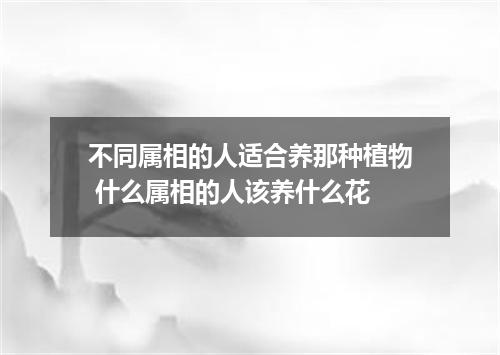 不同属相的人适合养那种植物 什么属相的人该养什么花