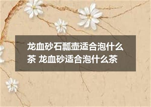 龙血砂石瓢壶适合泡什么茶 龙血砂适合泡什么茶