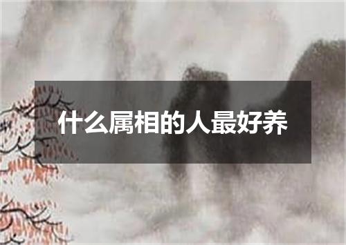 什么属相的人最好养