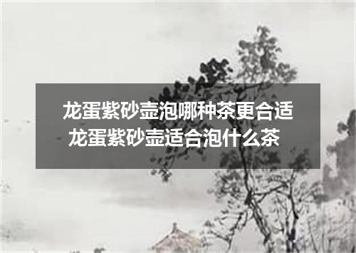 龙蛋紫砂壶泡哪种茶更合适 龙蛋紫砂壶适合泡什么茶