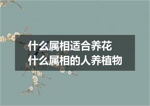 什么属相适合养花 什么属相的人养植物