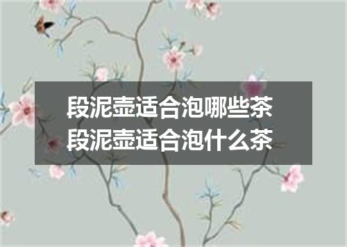段泥壶适合泡哪些茶 段泥壶适合泡什么茶