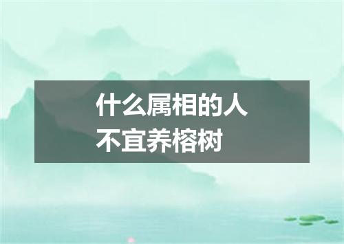 什么属相的人不宜养榕树