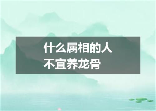 什么属相的人不宜养龙骨