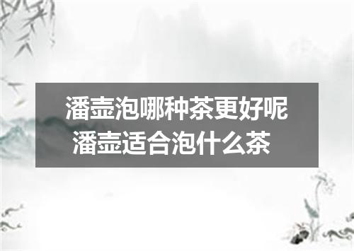 潘壶泡哪种茶更好呢 潘壶适合泡什么茶