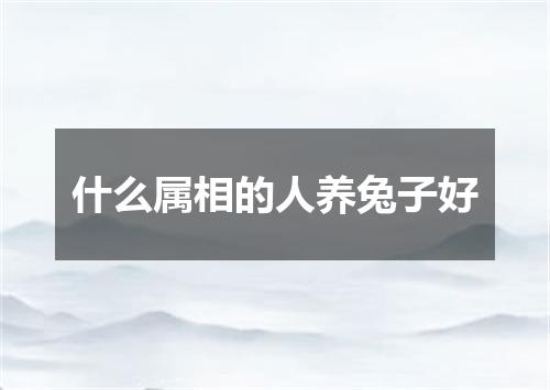 什么属相的人养兔子好