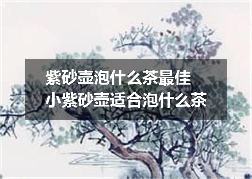 紫砂壶泡什么茶最佳 小紫砂壶适合泡什么茶