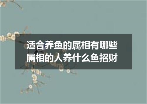适合养鱼的属相有哪些 属相的人养什么鱼招财