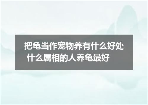 把龟当作宠物养有什么好处 什么属相的人养龟最好