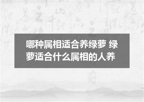 哪种属相适合养绿萝 绿萝适合什么属相的人养
