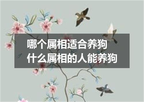 哪个属相适合养狗 什么属相的人能养狗