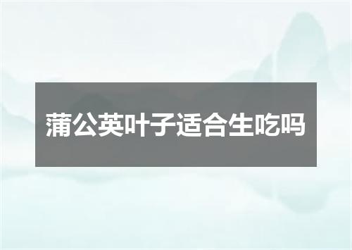 蒲公英叶子适合生吃吗